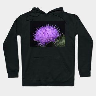 Glowing Thistle Hoodie